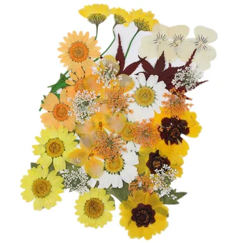 DIY Kurutulmuş Çiçekler Uv Reçine Doğal Çiçek Çıkartmalar Kuru Güzellik Çıkartması Dıy Epoksi Reçine Dolum Takı Dekorasyon